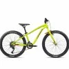 Orbea - Kinder-Mountainbike MX 24 Team Limette/Rot