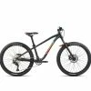 Orbea - Kinder-Mountainbike Laufey 24 H30 Black Rainbow